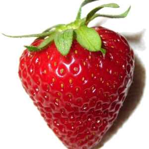 Fresh Strawberry – 250g Pack